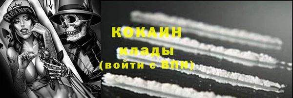 эйфоретик Бородино