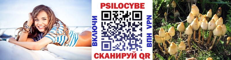 Псилоцибиновые грибы Magic Shrooms  Купить закладки  Микунь 